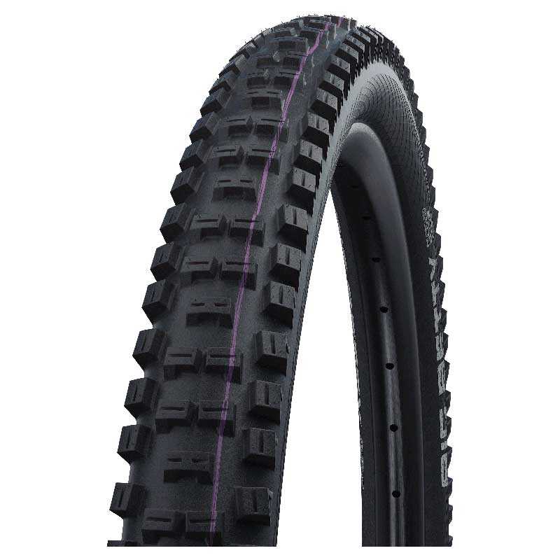 SCHWALBE Big Betty Folding tire 29"