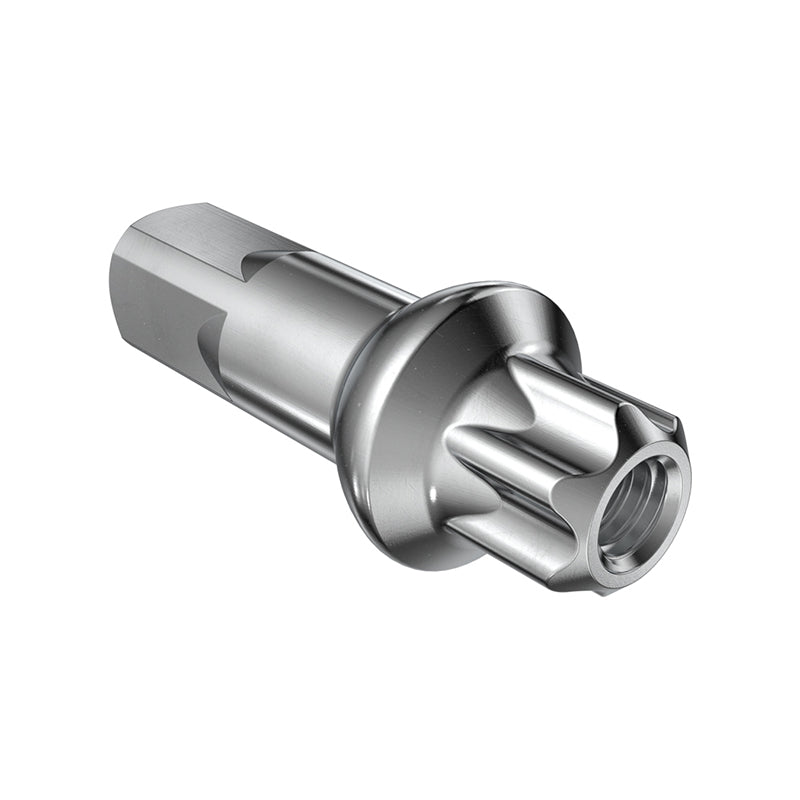 DT SWISS Nipple DT Squorx Pro Head,