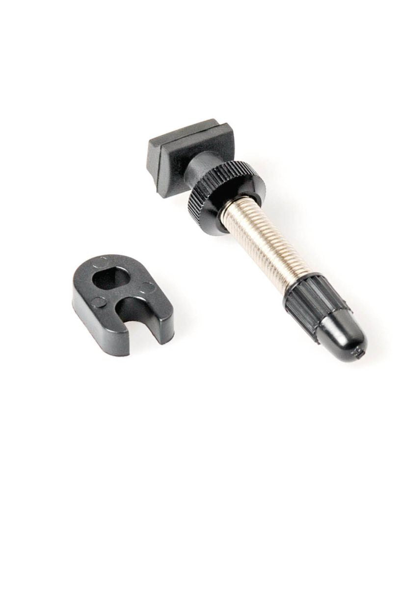 DT SWISS DT Tubeless Valve Silver