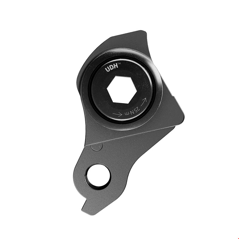 SRAM Dropout hanger Universal