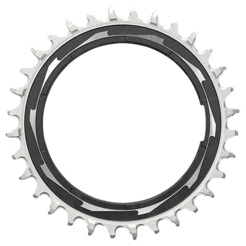 SRAM Chainring Thread Mount Singlespeed