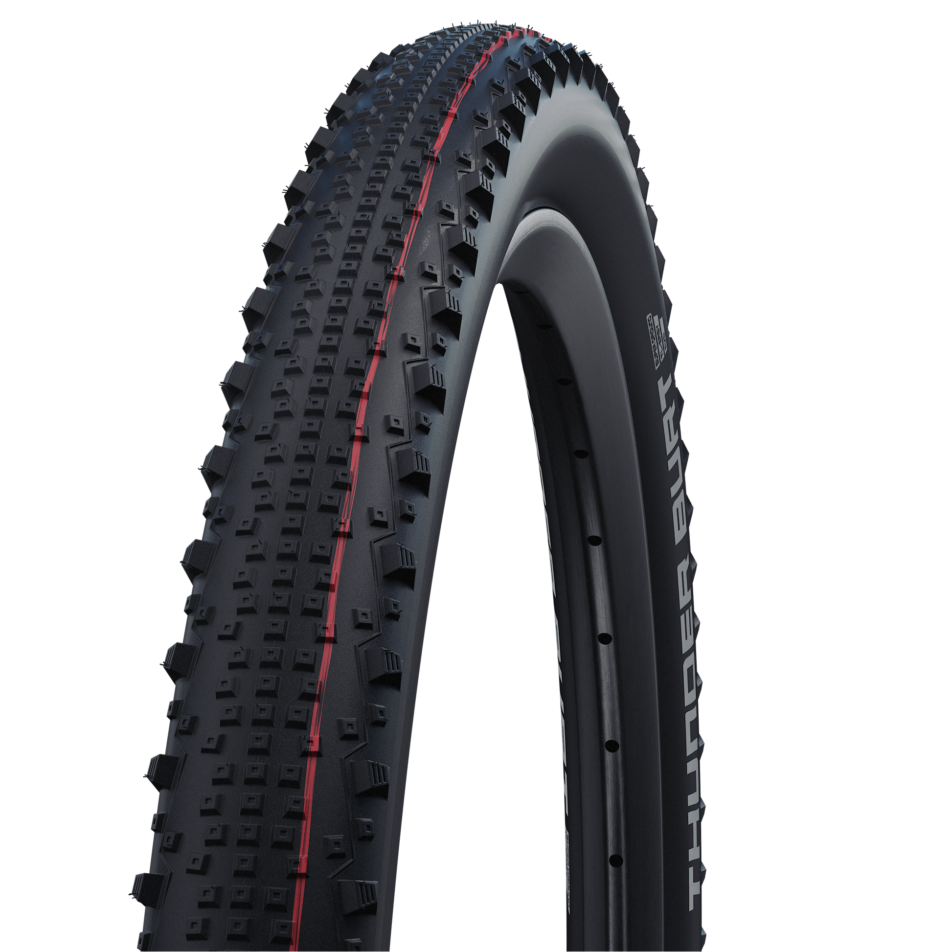 SCHWALBE Thunder Burt Folding tire 29"