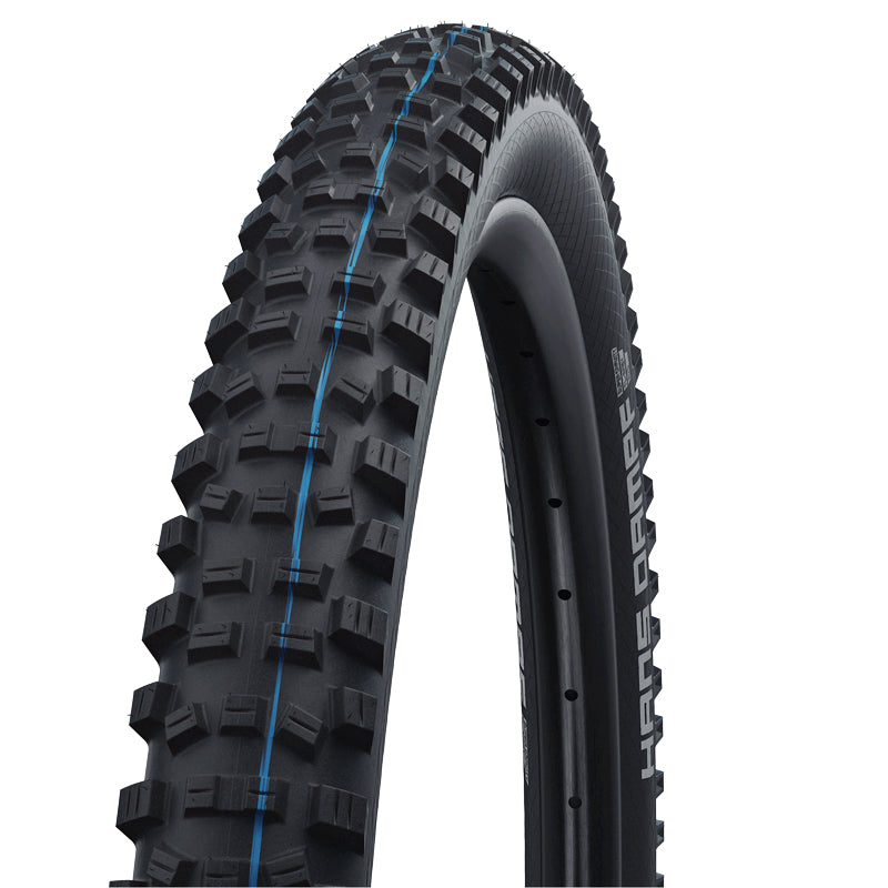 SCHWALBE Hans Dampf Folding tire 29"
