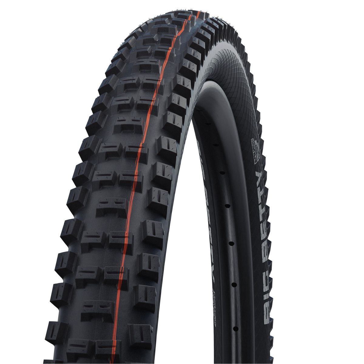 SCHWALBE Big Betty Folding tire 29"