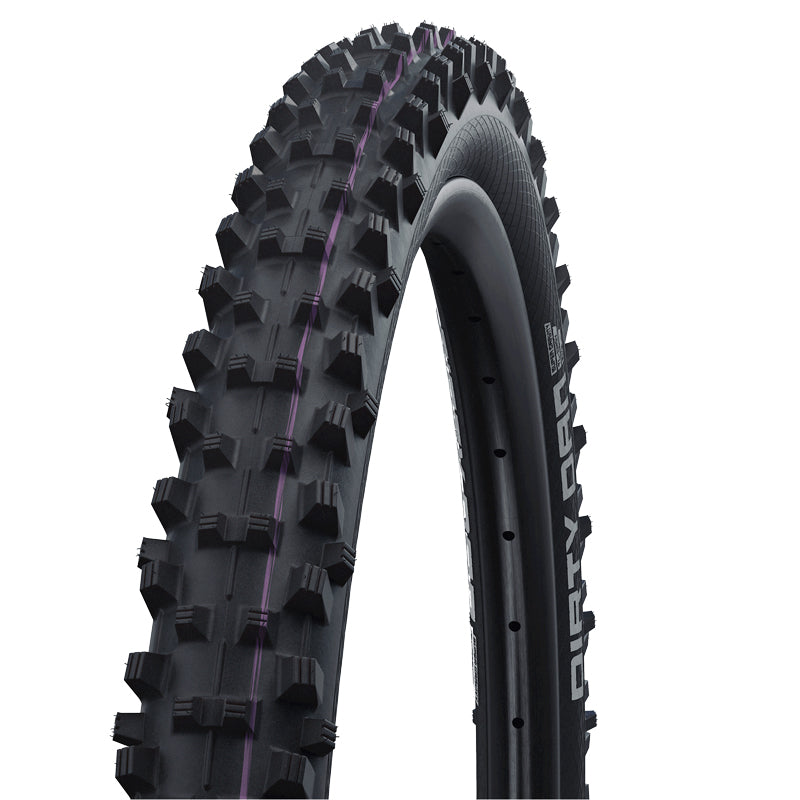 SCHWALBE Dirty Dan Folding tire 29"