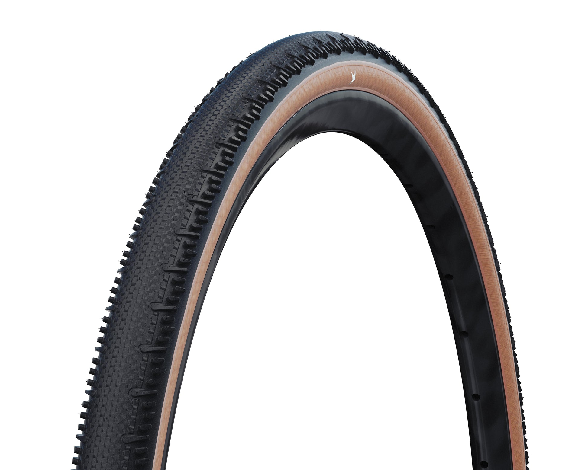 SCHWALBE G-ONE RS PRO V-Guard Evolution