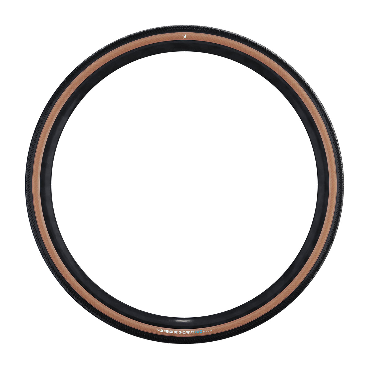SCHWALBE G-ONE RS PRO V-Guard Evolution