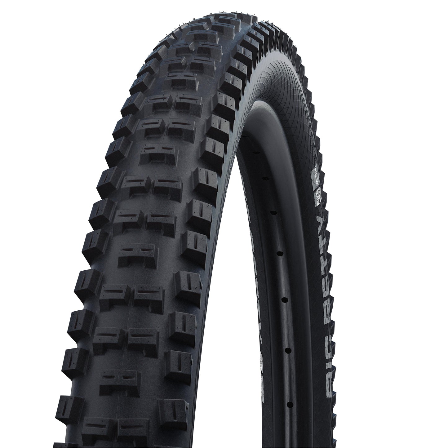 SCHWALBE BIG BETTY Performance Folding