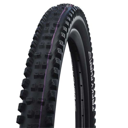 SCHWALBE Tacky Chan Folding tire 29"