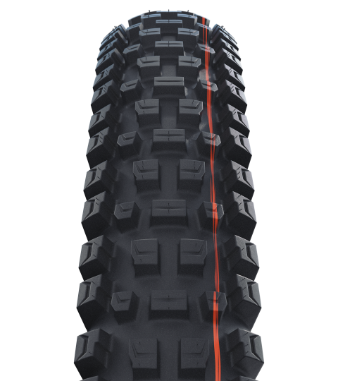 SCHWALBE ALBERT TRAIL PRO Evolution