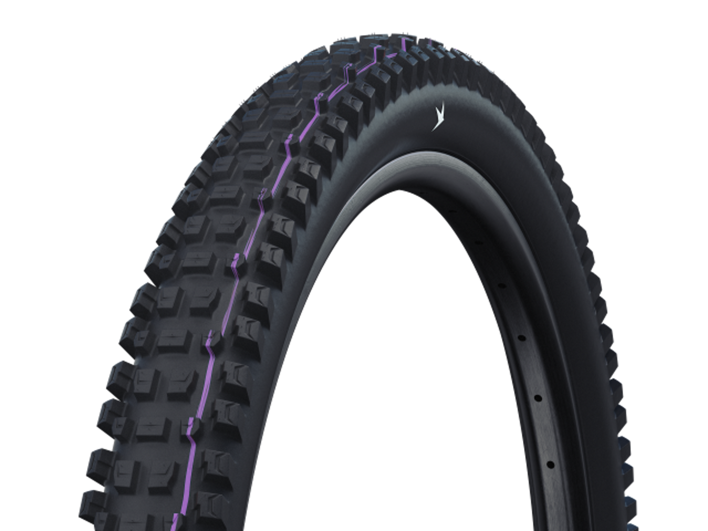 SCHWALBE ALBERT GRAVITY PRO Evolution