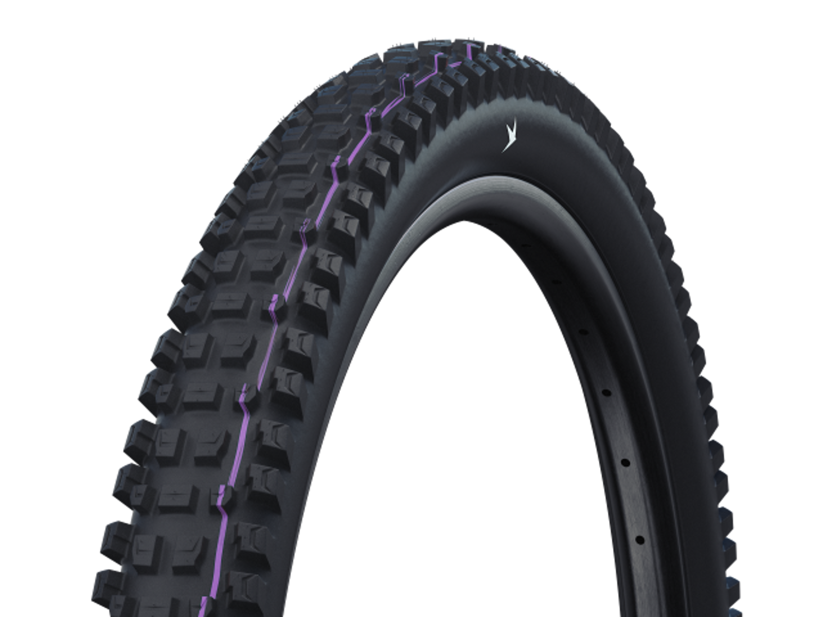 SCHWALBE ALBERT GRAVITY PRO Evolution