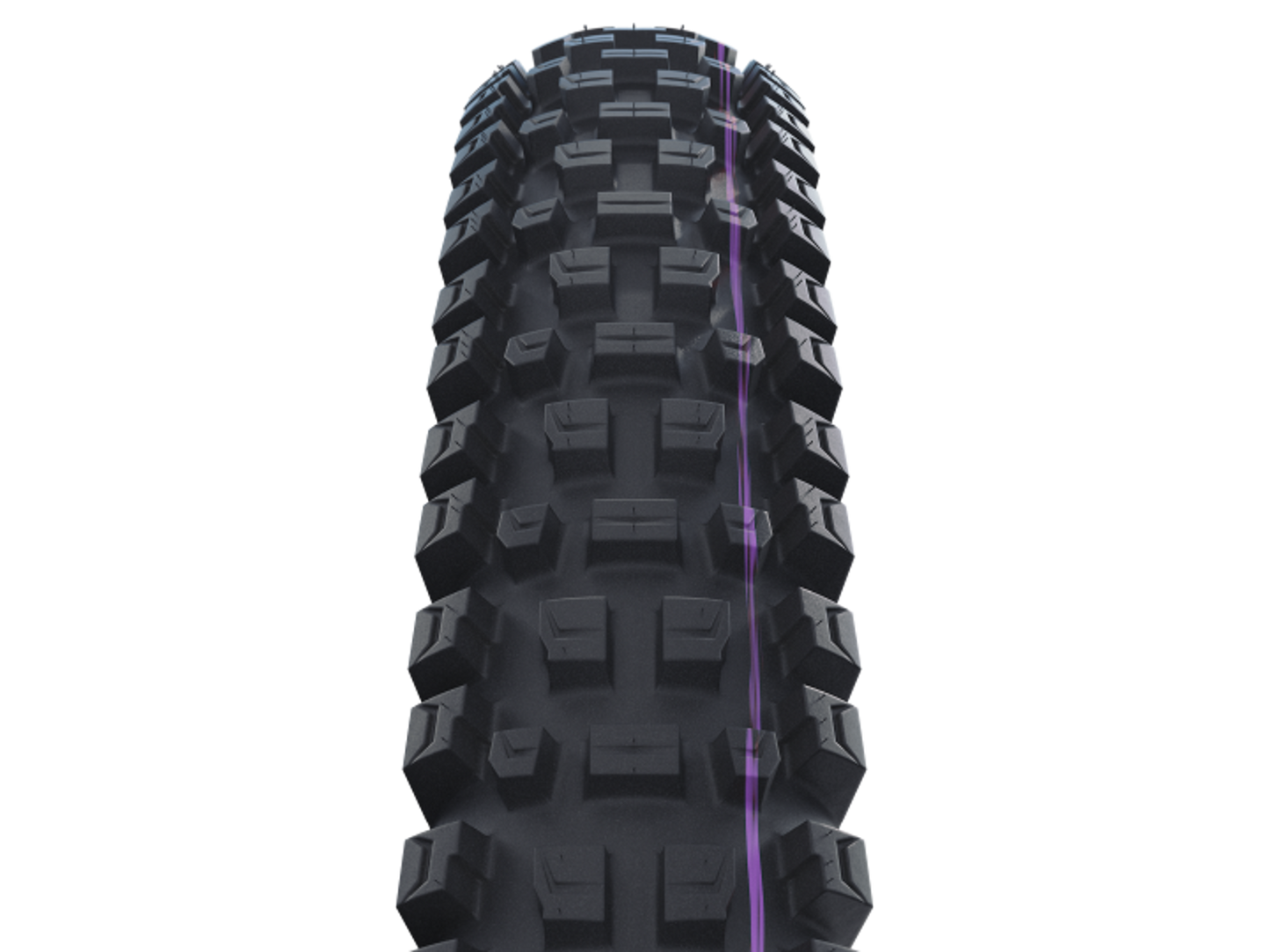 SCHWALBE ALBERT GRAVITY PRO Evolution
