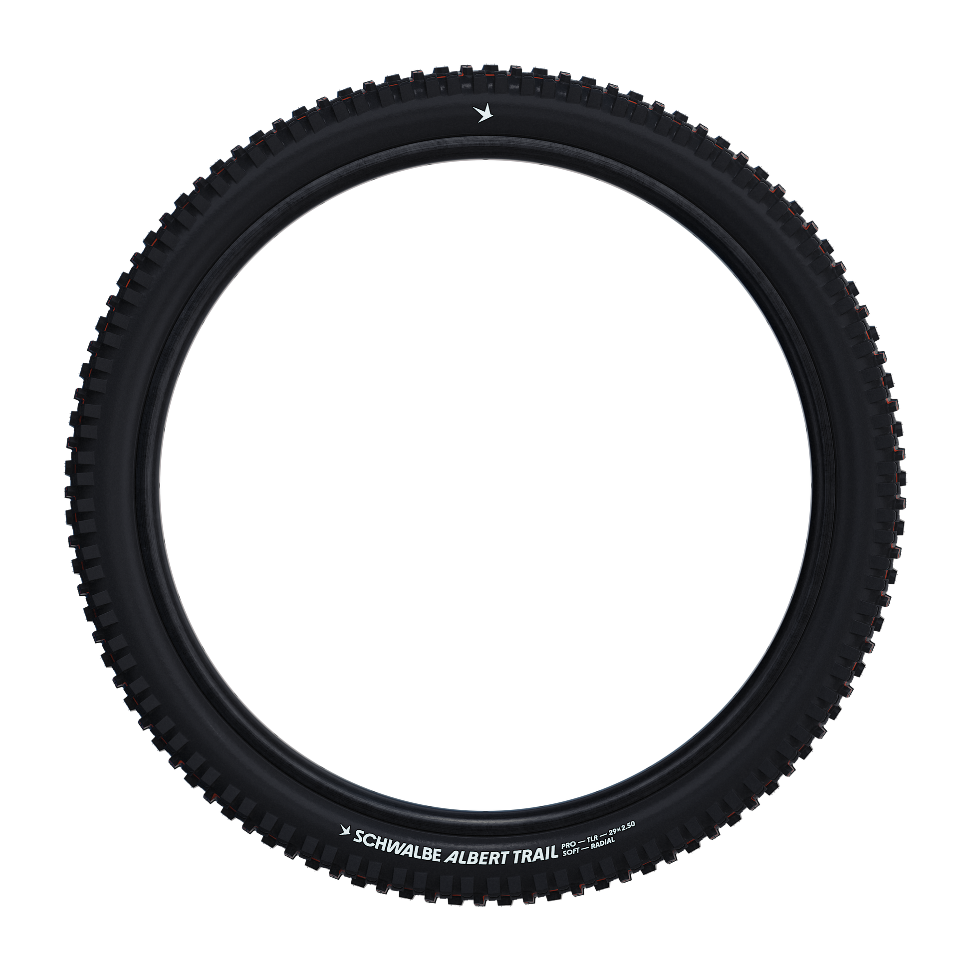 SCHWALBE ALBERT TRAIL PRO Evolution