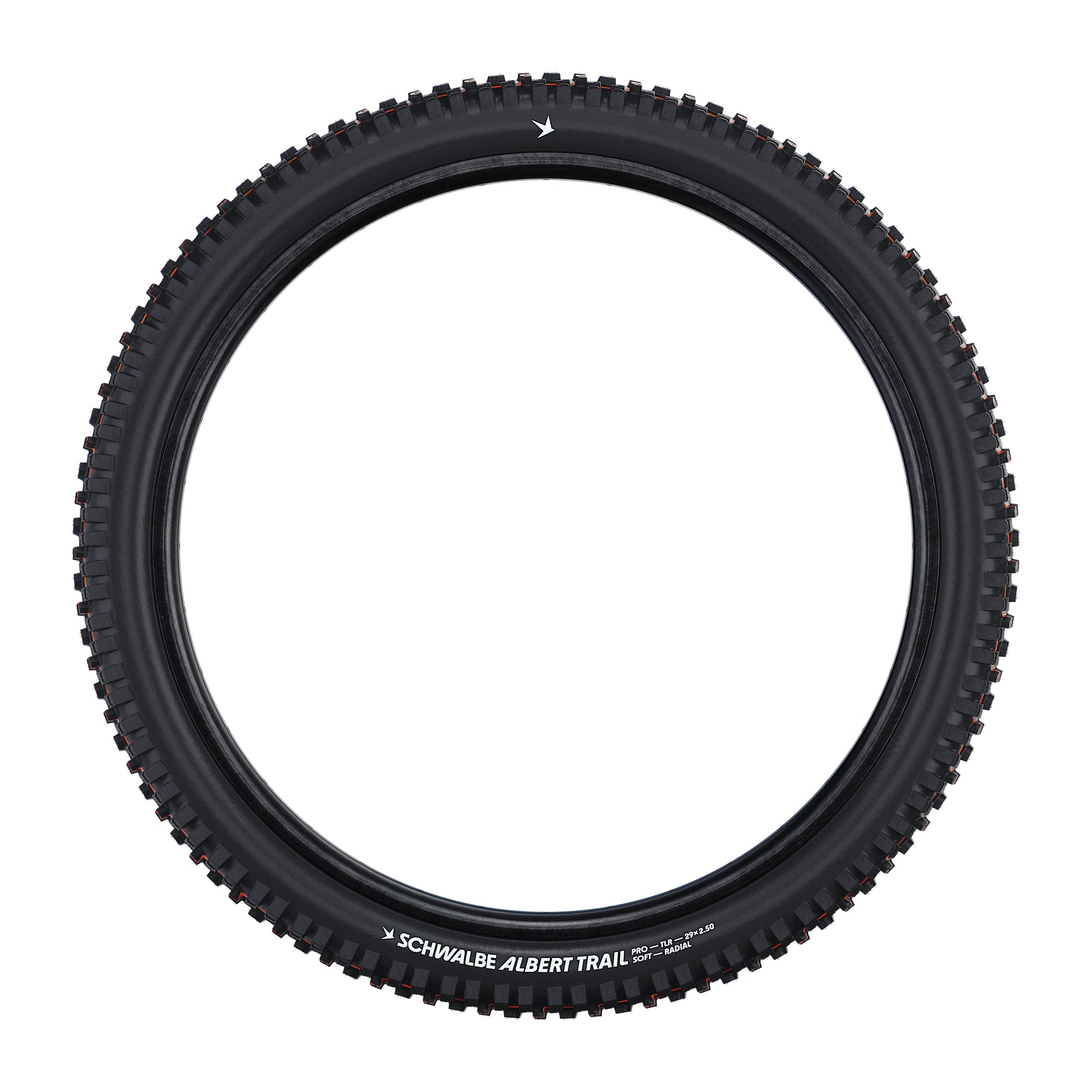 SCHWALBE ALBERT TRAIL PRO Evolution