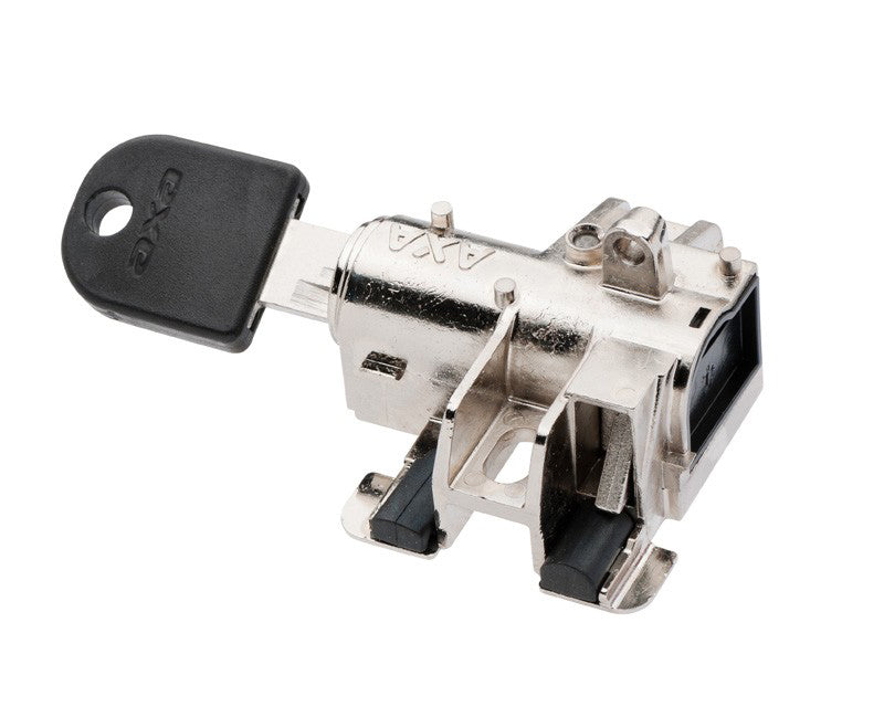 AXA Bosch bes. 2, tube/frame Battery