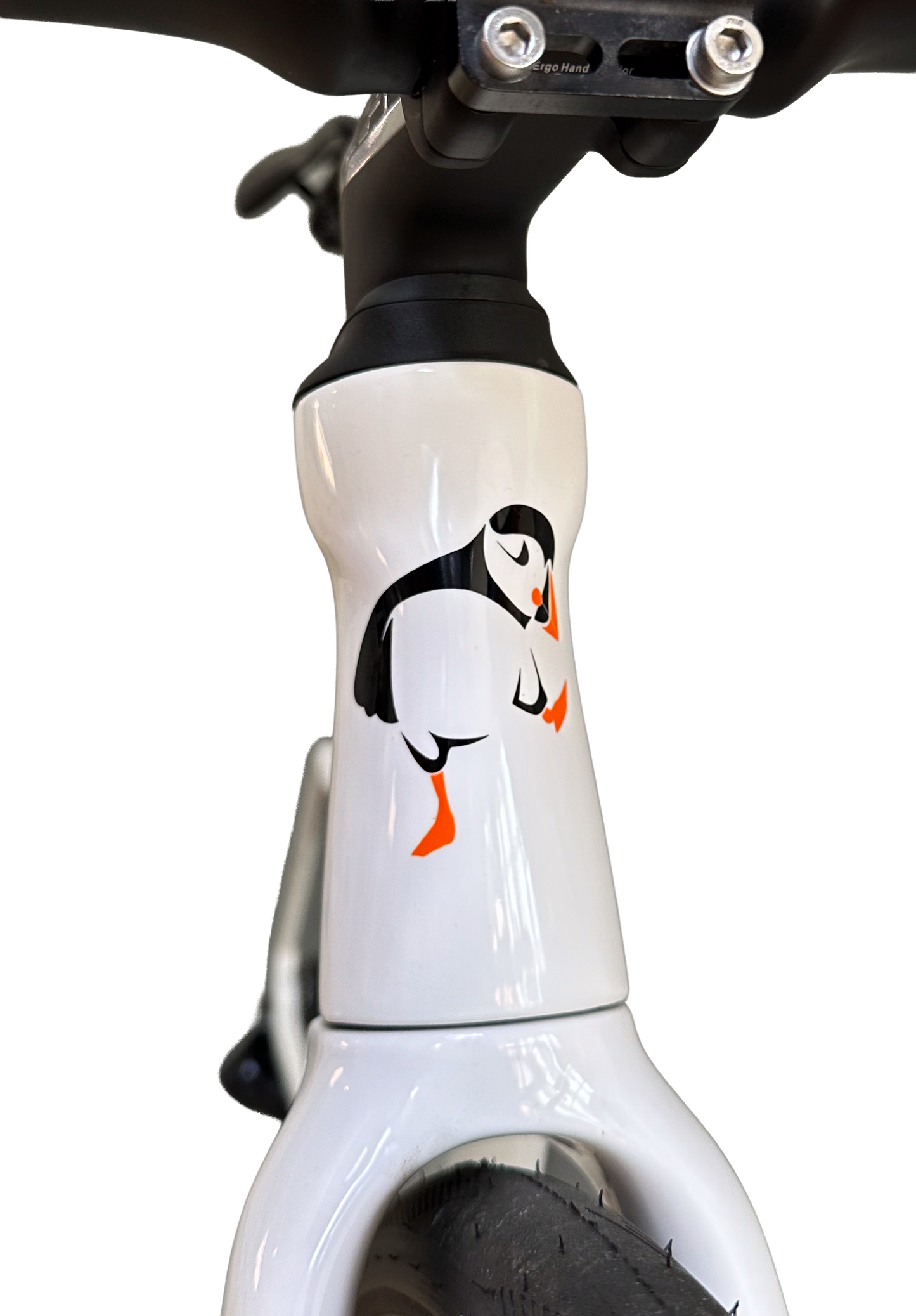 Puffin Bike Arctica RD