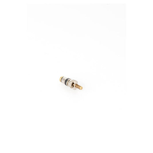 DT SWISS Spare part DT Spare part VALVE