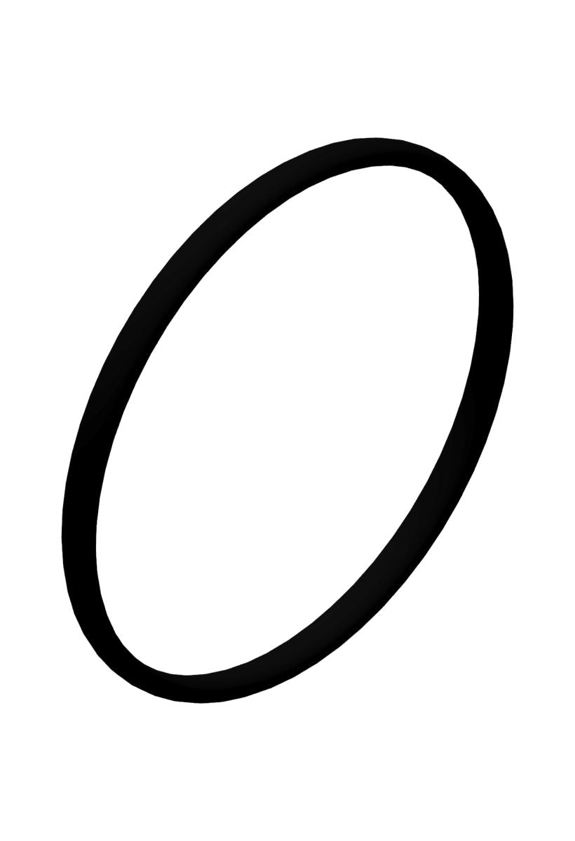 DT SWISS Spare part O-Ring O17X1 mm NBR