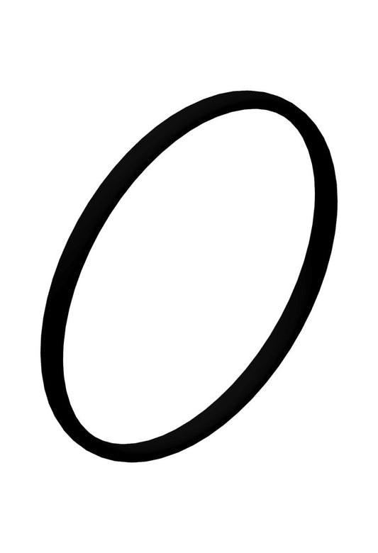 DT SWISS Spare part O-Ring O17X1 mm NBR