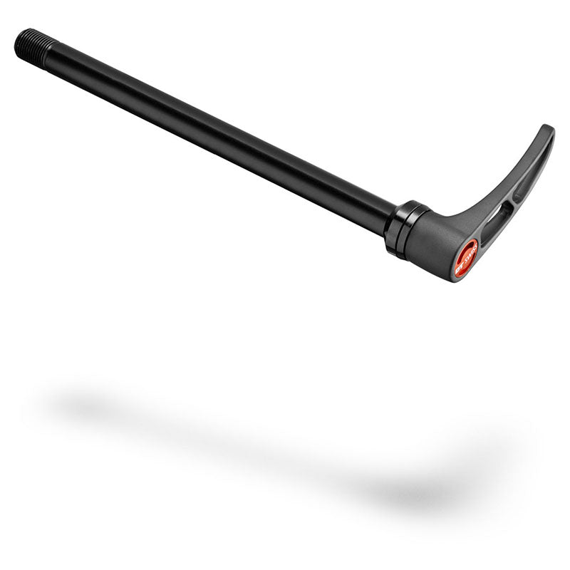 DT SWISS DT Thru Axle, RWS Rear 168,5