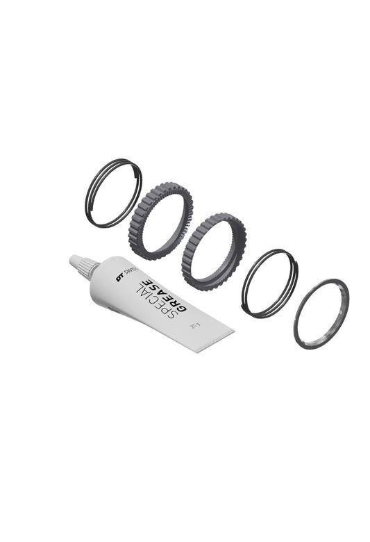 DT SWISS Service kit Ratchet DEG 72T