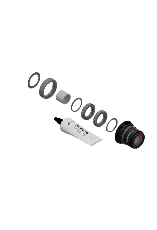 DT SWISS Service kit Ratchet LN