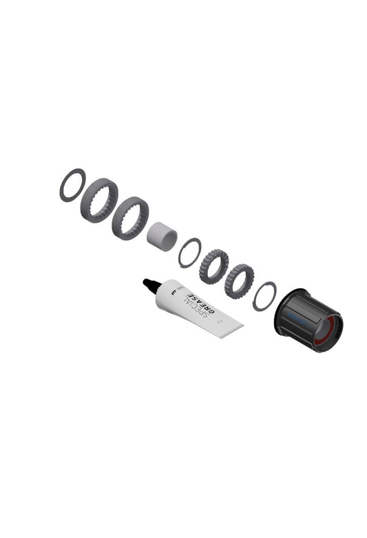 DT SWISS Service kit Ratchet LN