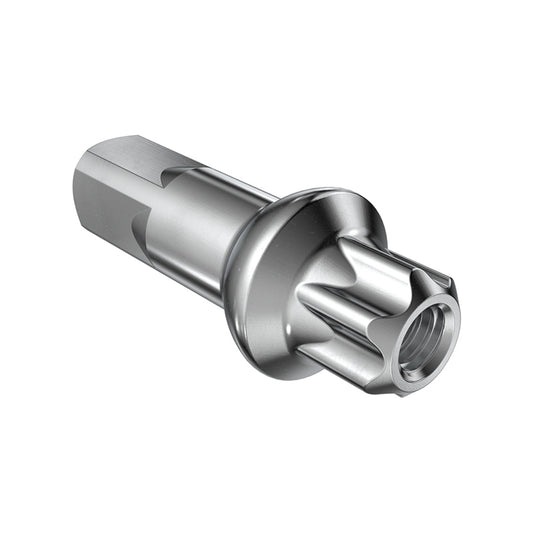 DT SWISS Nipple DT Squorx Pro Head,