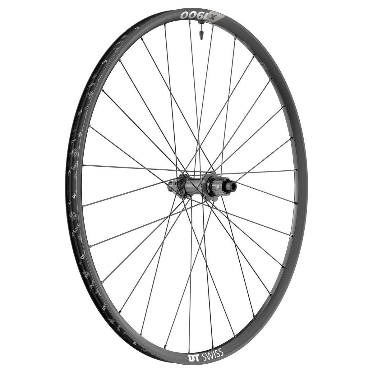 DT SWISS Wheel X 1900 Spline 19.5 29"